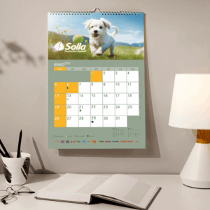 Calendarios de Pared